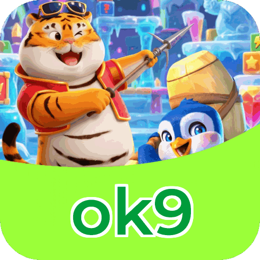 Interface ok9
